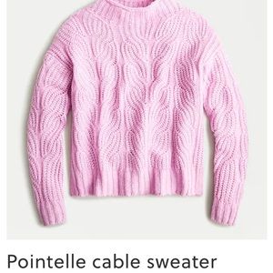 NWT J. Crew pointelle sweater.